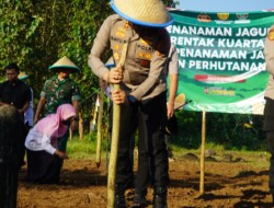 Polres Tegal Gandeng Poktan dan Perhutani Tanam Jagung Dukung Ketahanan Pangan