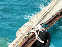 Dermaga Jepara–Karimunjawa Krisis: Rawan Roboh, Negara Harus Hadir