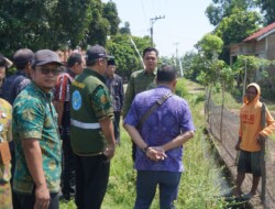 Bupati Witiarso Utomo Gaspol Perkuat Pertanian Jepara: Rp81 Miliar untuk Irigasi, Tantangan Selanjutnya Petani Muda & Teknologi